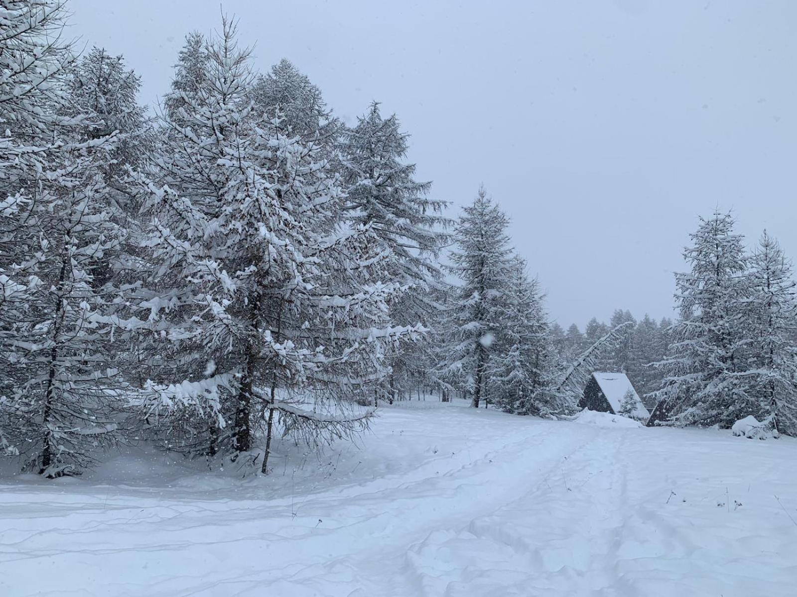 Chalet Bastilor La Joue du Loup Eksteriør bilde